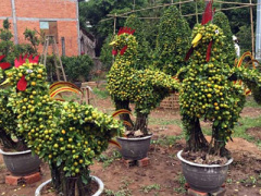 Ảnh bìa bài viết 420023