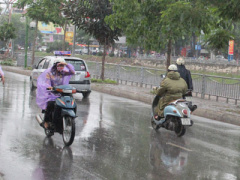 Ảnh bìa bài viết 420421