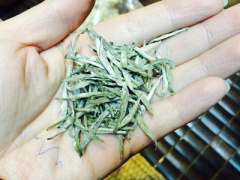 Ảnh bìa bài viết 420742