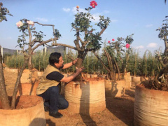 Ảnh bìa bài viết 420934