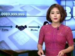Ảnh bìa bài viết 421042
