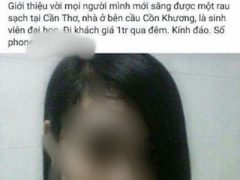Ảnh bìa bài viết 421307