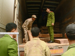 Ảnh bìa bài viết 421318
