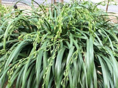 Ảnh bìa bài viết 421663