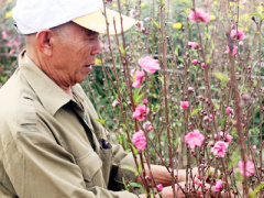 Ảnh bìa bài viết 421809