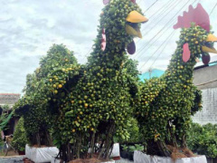 Ảnh bìa bài viết 422003