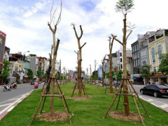 Ảnh bìa bài viết 421928