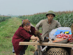 Ảnh bìa bài viết 422007