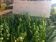 Ảnh bìa bài viết 422373