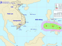Ảnh bìa bài viết 422272