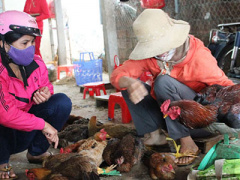 Ảnh bìa bài viết 422643