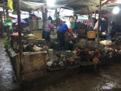 Ảnh bìa bài viết 422777