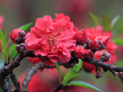 Ảnh bìa bài viết 422779