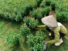 Ảnh bìa bài viết 422987