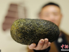 Ảnh bìa bài viết 423164