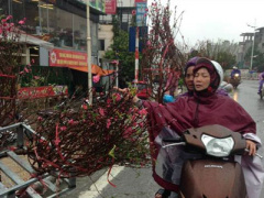 Ảnh bìa bài viết 423477