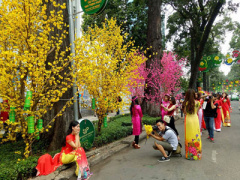 Ảnh bìa bài viết 424024