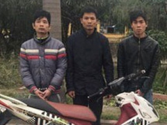 Ảnh bìa bài viết 424324