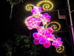 Ảnh bìa bài viết 424205