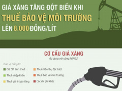 Ảnh bìa bài viết 424752