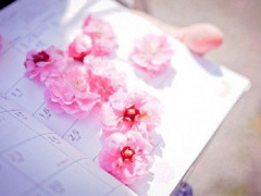 Ảnh bìa bài viết 424480