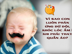 Ảnh bìa bài viết 424646