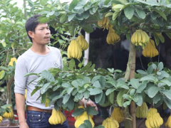 Ảnh bìa bài viết 425222