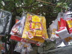Ảnh bìa bài viết 425252