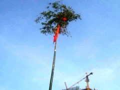 Ảnh bìa bài viết 425409