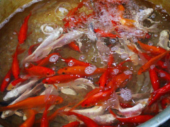 Ảnh bìa bài viết 425577