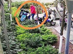 Ảnh bìa bài viết 425552