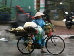 Ảnh bìa bài viết 425721