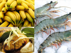 Ảnh bìa bài viết 425971