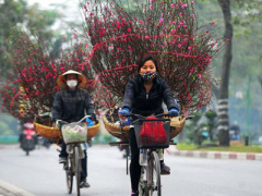Ảnh bìa bài viết 425968