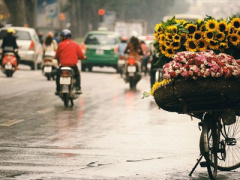 Ảnh bìa bài viết 426057