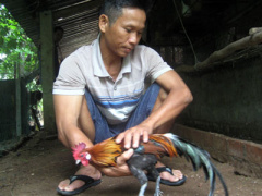Ảnh bìa bài viết 425892