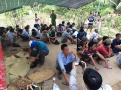 Ảnh bìa bài viết 425913