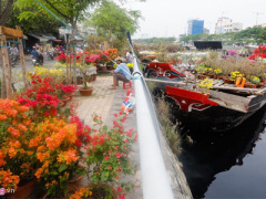 Ảnh bìa bài viết 426299