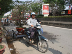 Ảnh bìa bài viết 426152