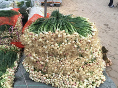 Ảnh bìa bài viết 426132