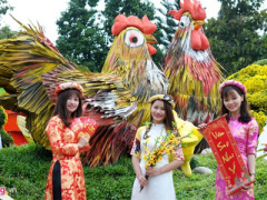 Ảnh bìa bài viết 426090
