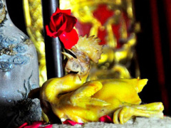 Ảnh bìa bài viết 426259
