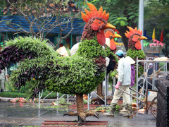Ảnh bìa bài viết 426249