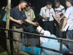 Ảnh bìa bài viết 426204