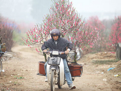 Ảnh bìa bài viết 426419