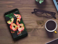 Ảnh bìa bài viết 426543