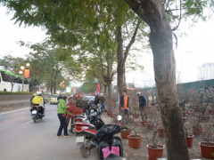 Ảnh bìa bài viết 426648