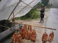 Ảnh bìa bài viết 426871