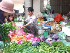 Ảnh bìa bài viết 426982