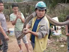 Ảnh bìa bài viết 426912